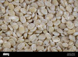 Organic Tattva Urad Dal Whole White, 500g